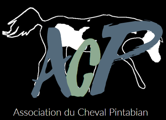 Association du Cheval Pintabian